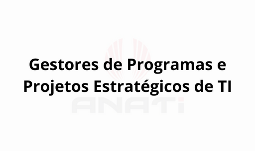 Gestores de Programas e Projetos Estratégicos de TI