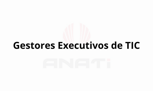 Gestores Executivos de TIC